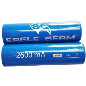 2600mAh Lithium Ion Battery