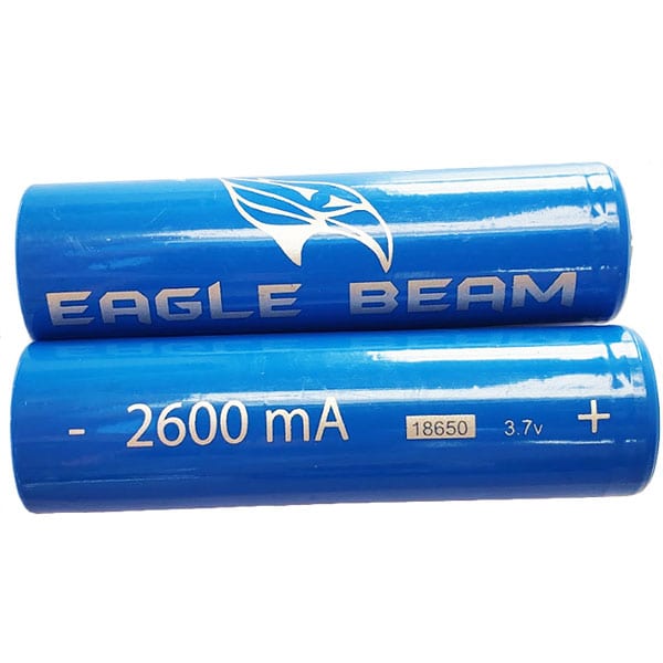 2600mAh Lithium Ion Battery