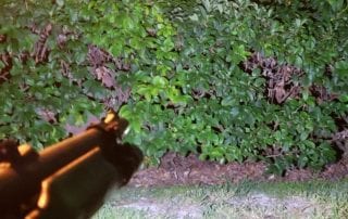 barrel mount shining beam barrel mount shining beam